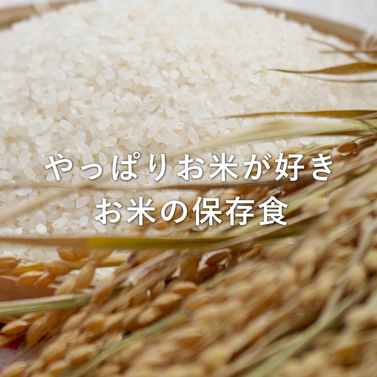 お米の保存食特集